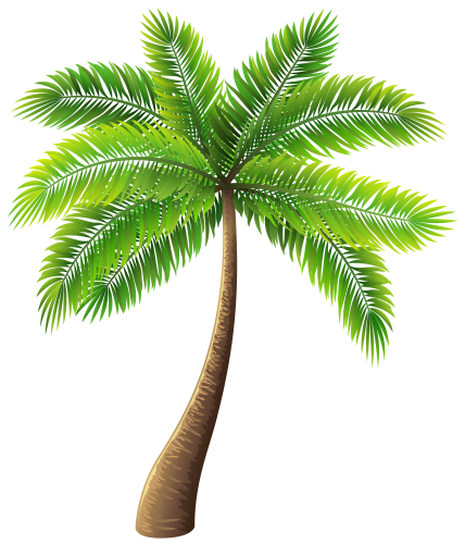 Palm tree 2